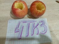 Яблоки2.jpg