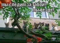 my-vezde_1349090312-2.jpg