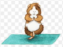 png-clipart-guinea-pig-yoga-adho-mukha-śvānāsana-hamster-asana-guinea-pig-yoga-animals-pet-thu...png