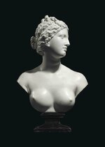 2015_CKS_10701_0108_000(a_marble_bust_of_the_venus_de_medici_after_the_antique_italian_late_18...jpg