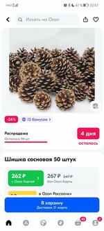 Screenshot_20240309_225727_ru.ozon.app.android.jpg