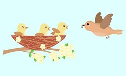 three-chicks-in-the-nest-and-mother-bird-flying-to-feed-them-cartoon-vector-illustration-for-k...jpg