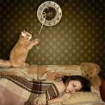 Creative_Clock_Cats_Teddy_bear_Brown_haired_Sleep_513414_1950x1950.jpg