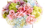 Bouquets_Roses_Hydrangea_White_background_513186_1920x1200.jpg