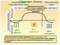 Селье1.jpg