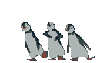 3 пингвина.gif