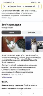Screenshot_20240509-154615_Yandex Start.jpg