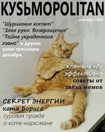 kusmopolitan-aprel-dekabr-2020-tak-vot-chto-tajkom-pochityvayut-kotiki-06.jpg