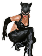 catwoman-png--800.png