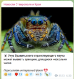 укус для эрекции.PNG