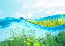 field-abstract-flowers-grass-water-1038378.jpg