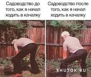 1732531317_shutok.ru.images-4.jpeg