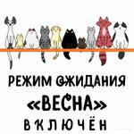 Картинки про ВЕСНУ с надписями и весенними изображениями.jpeg