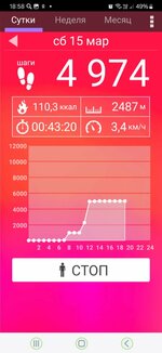 Screenshot_20250315_185808_Pedometer.jpg