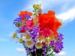 depositphotos_26848193-stock-photo-bright-colorful-bouquet-of-garden.jpg