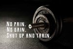 no-pain.-no-gain-shut-up-and-train.jpg