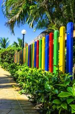 depositphotos_72835167-stock-photo-colorful-fence-surrounded-by-palms.jpg