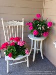 white-chairs-pink-geraniums.jpg