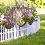 Mini White Picket Fence in Uncategorised at Lakeland.jpg