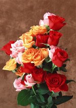 11b53819163512318c03fba78acc2006--bouquet-of-flowers-rose-flowers.jpg