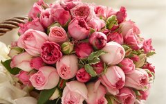 Pink-rose-flowers-beautiful-bouquet_1280x800.jpg