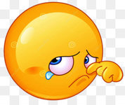 kisspng-smiley-emoticon-emotion-clip-art-crying-emoji-5ad1c4cd9ecf18.5131533015236968456505.jpg