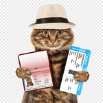 png-transparent-united-kingdom-cat-dog-ferret-pet-passport-take-a-cat-with-a-visa-png-material...png