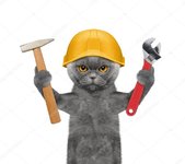 depositphotos_113875826-stock-photo-cat-builder-holding-tools-in.jpg