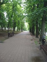 IMG_20210525_093451 Парк.jpg