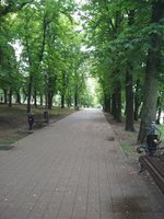 IMG_20210525_093452 Парк..jpg