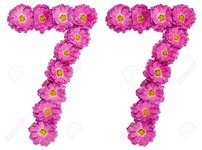 90250443-arabic-numeral-77-seventy-seven-from-flowers-of-chrysanthemum-isolated-on-white-backg...jpg