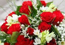 close-up-of-red-roses-bouquet-flowers_87414-4870.jpg