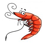 depositphotos_40954771-stock-illustration-happy-prawn-or-shrimp-with.jpg