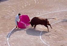 274px-Bull_attacks_matador.jpg