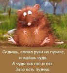 https://notdrink.ru/data/attachments/53/53866-5de0a766cefc366d8f90ab5aafa2df8b.jpg