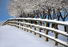 7995830-winter-fence.jpg