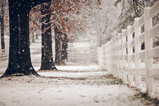 Winter_Street_Fence_Snow_449528.jpg