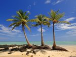 Nature_Beach_Palm_beach_018024_.jpg