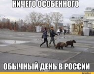 obychnyj-den-Rossiya-Medvedi-zhivnost-931678-1.jpeg