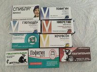 ccb0acd5f0477260b1b4e1bf5a2t--suveniry-i-podarki-prikoly-shutochnaya-aptechka.jpg