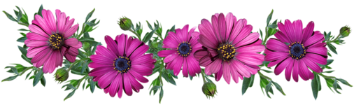 flower_092.png