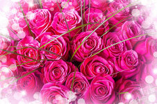 cvety-rozy-buket-rozovye-rozovyj-fon-811296.jpg