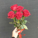 5_red_roses_3.jpg