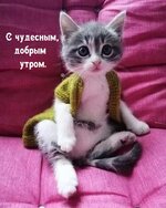 dobrogoutra_ru_9724.jpg