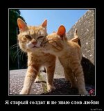 1553316409_Ya-staryy-soldat-i-n_demotions.ru.jpg