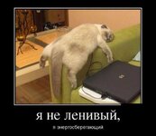 Всем-спать-смешные-картинки-028.jpg