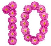 arabic-numeral-10-ten-flowers-260nw-759910303.jpg