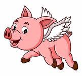 the-cool-pig-is-flying-with-the-wings-of-illustration_194428-2363.jpg