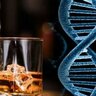 Передается ли алкоголизм по наследству?